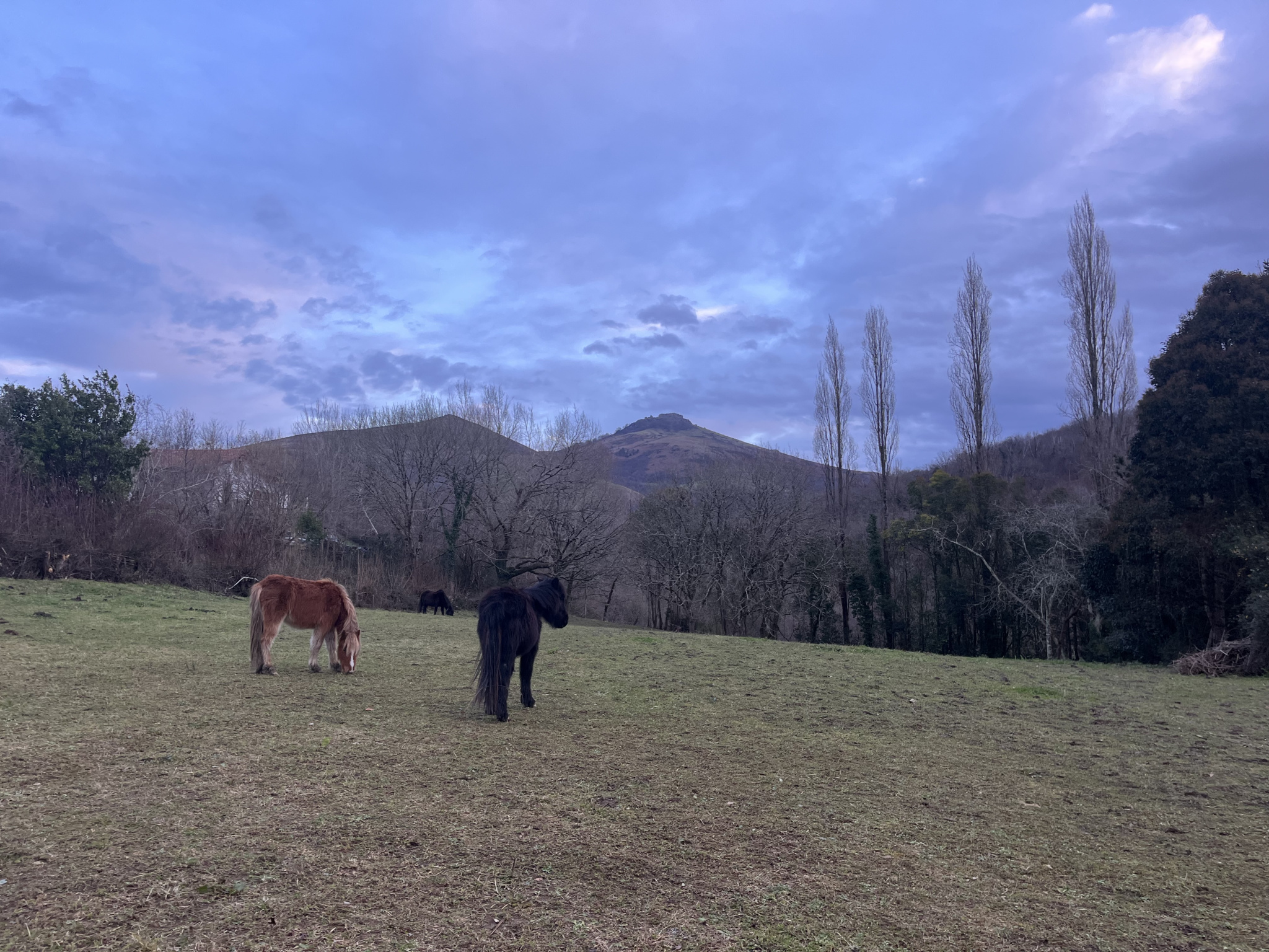 TERRAIN A BATIR