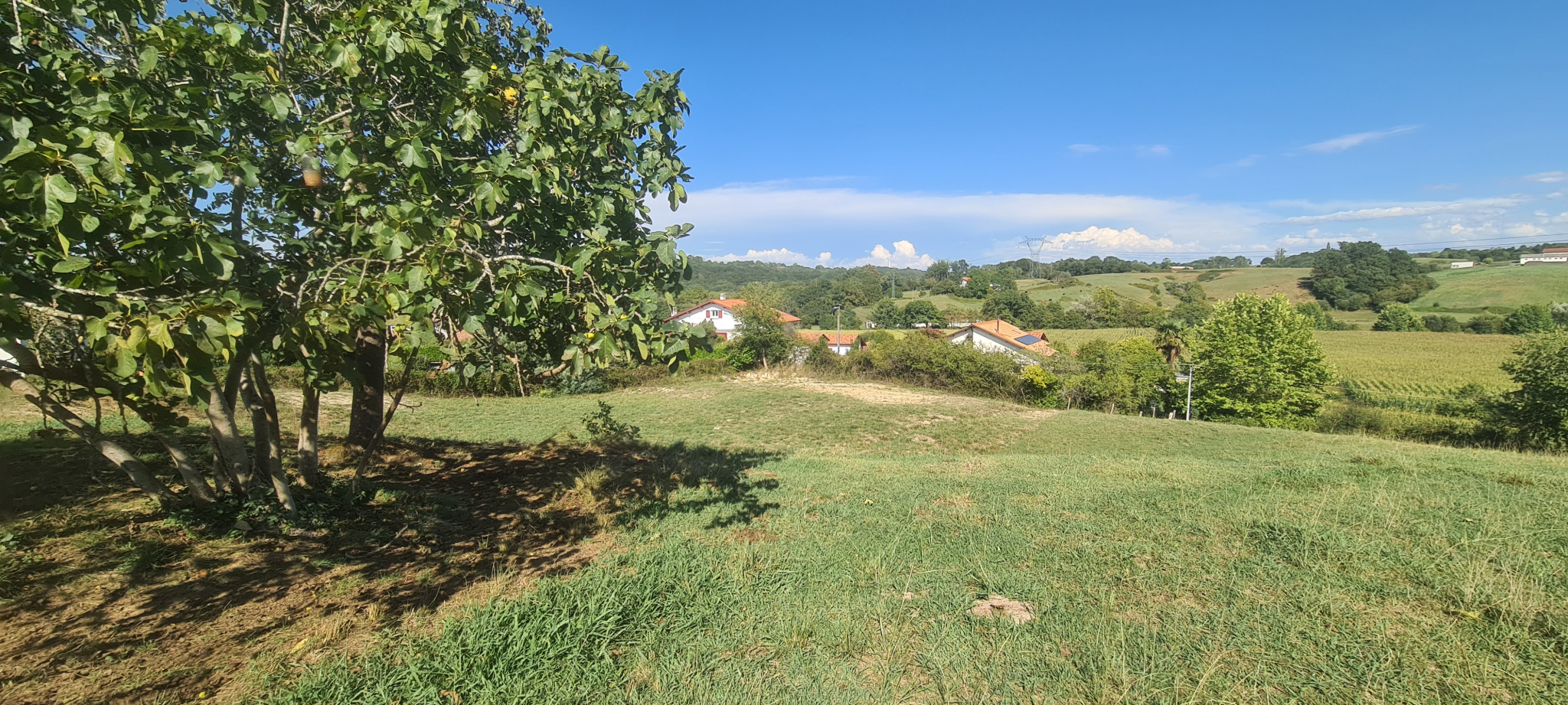 TERRAIN VIBILISE A BRISCOUS